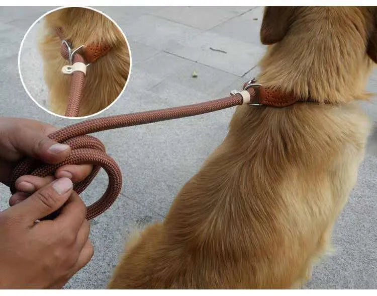 Brown nylon P chain dog leash with hand holding rope measuring 2.1 metres