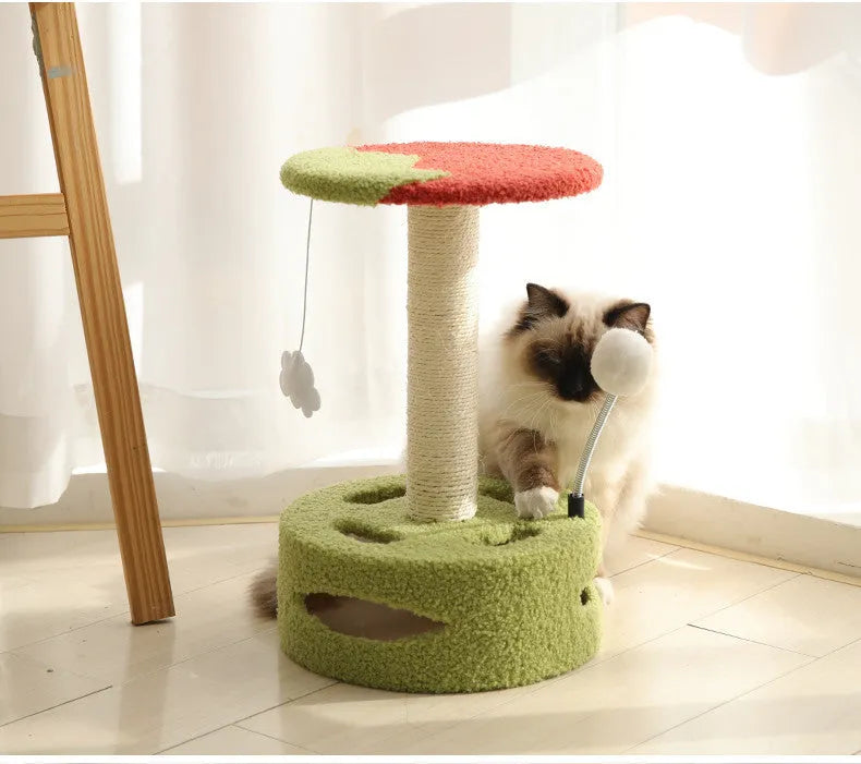Small cat climbing frame with sisal scratching post, skin-friendly fabric, hi-play device, and sisal scratching board