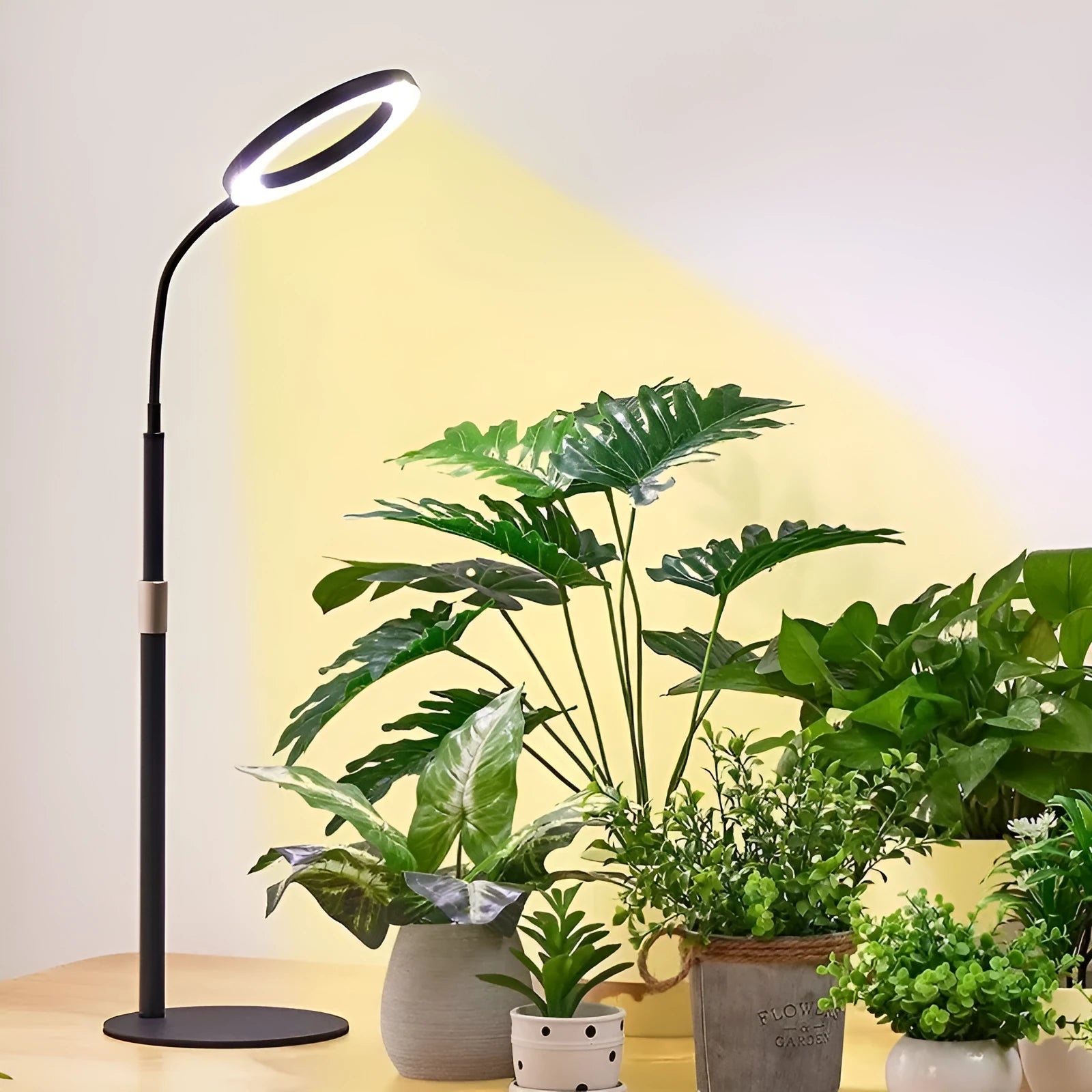 6-inch Angel Ring retractable floor plant grow light with aluminium alloy stand and LED illumination