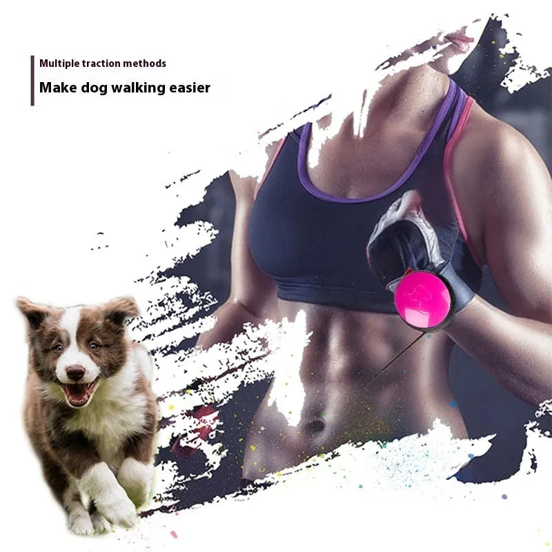 3 metre explosion-proof automatic retractable pet leash in six colour options