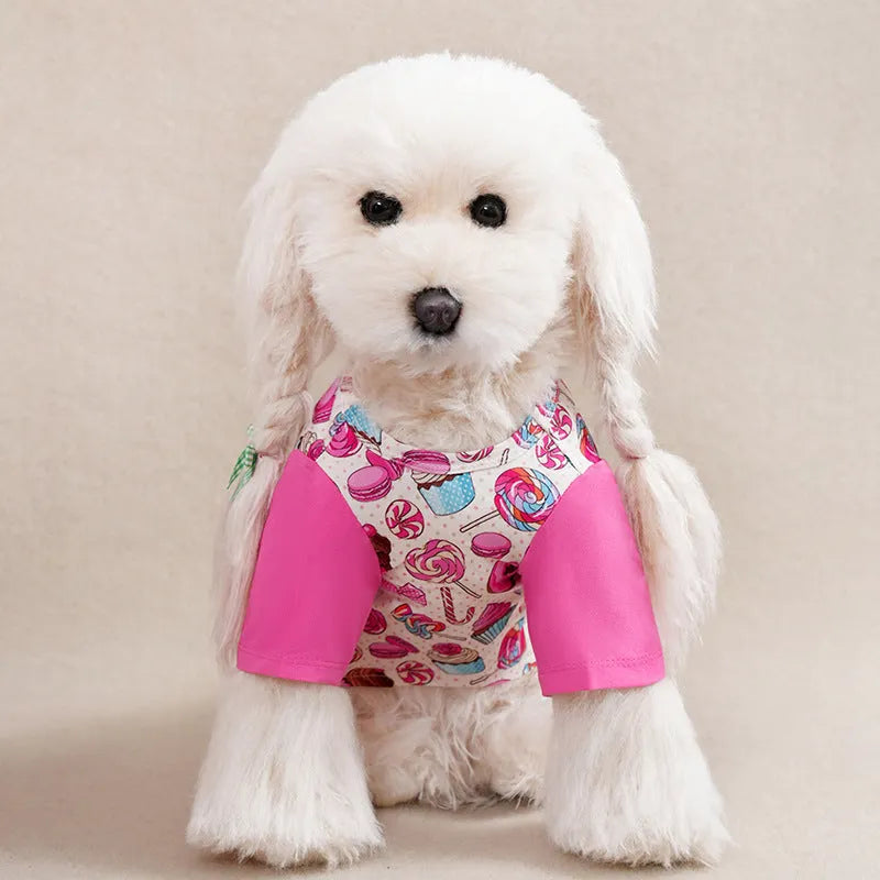 A small dog wearing a colourful printed polyester t-shirt, showing the casual spring and autumn pet clothing.