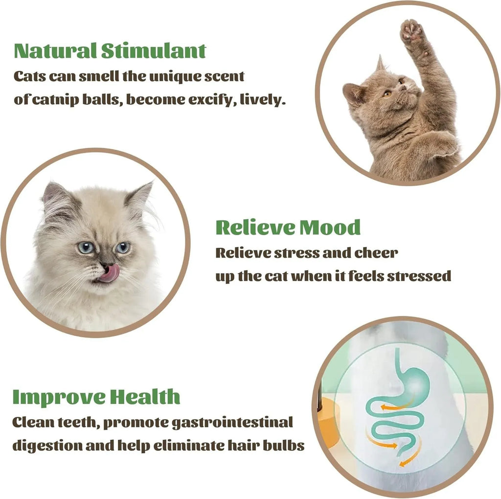 Catnip wall ball toy with three removable balls in blue, green and pink, mounted on a smooth wall for cats.