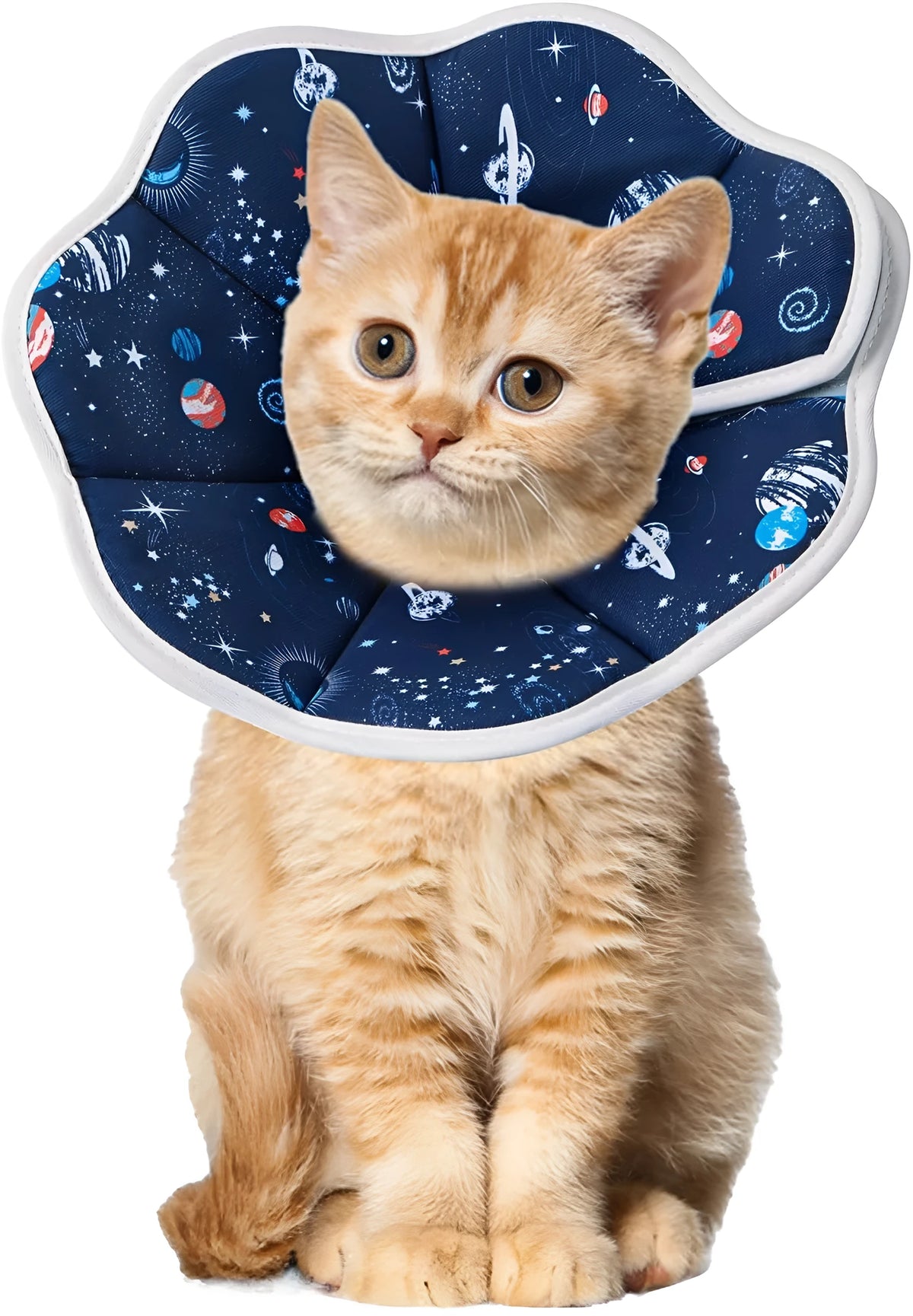 Soft adjustable cat cone collar in constellation print, showing adjustable circular fastener and soft fabric construction.