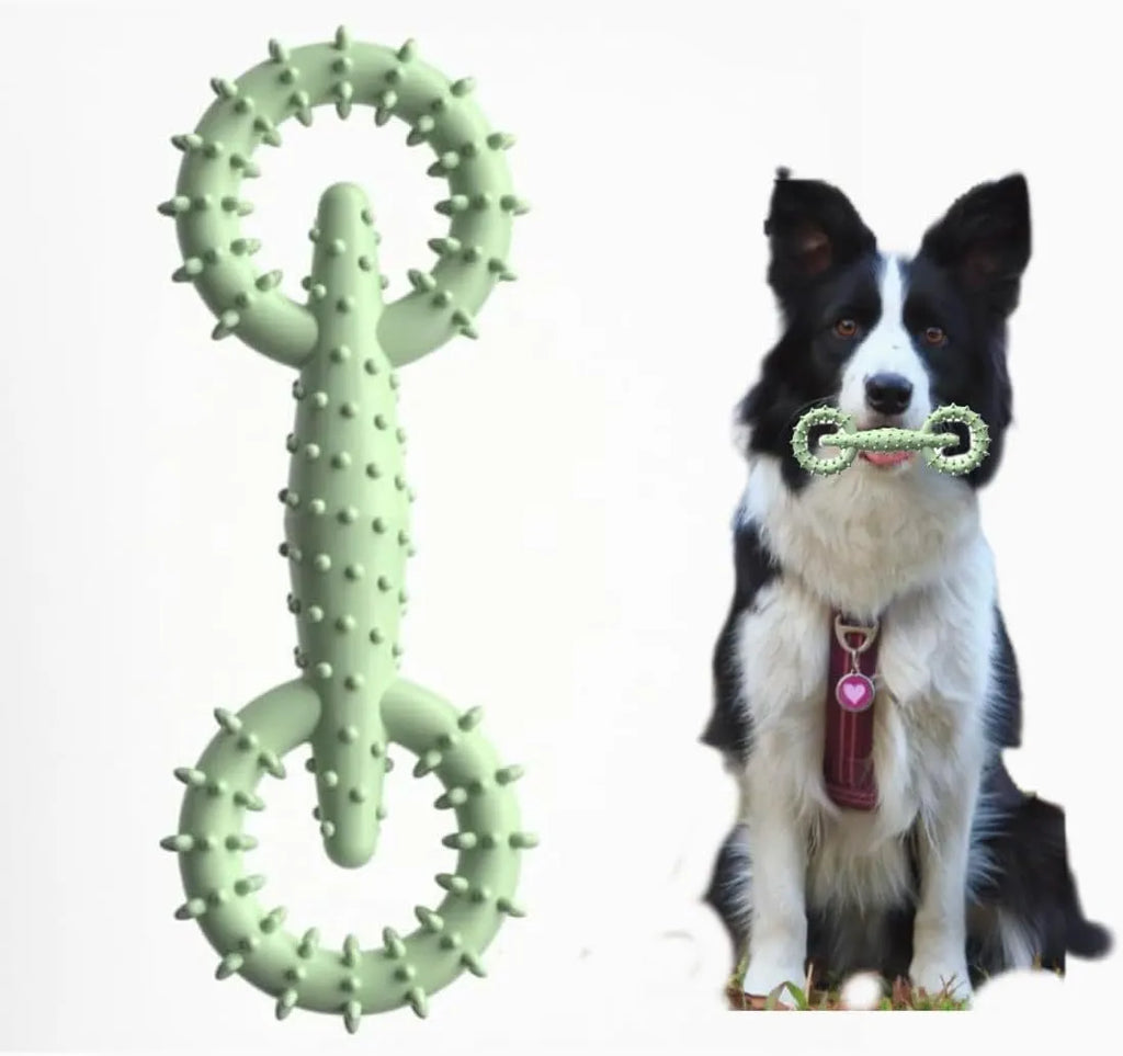 Blue TPR ring dog chew toy for puppies on a plain background.