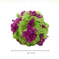 Purple plush seaweed ball dog chew toy for interactive play and teeth cleaning