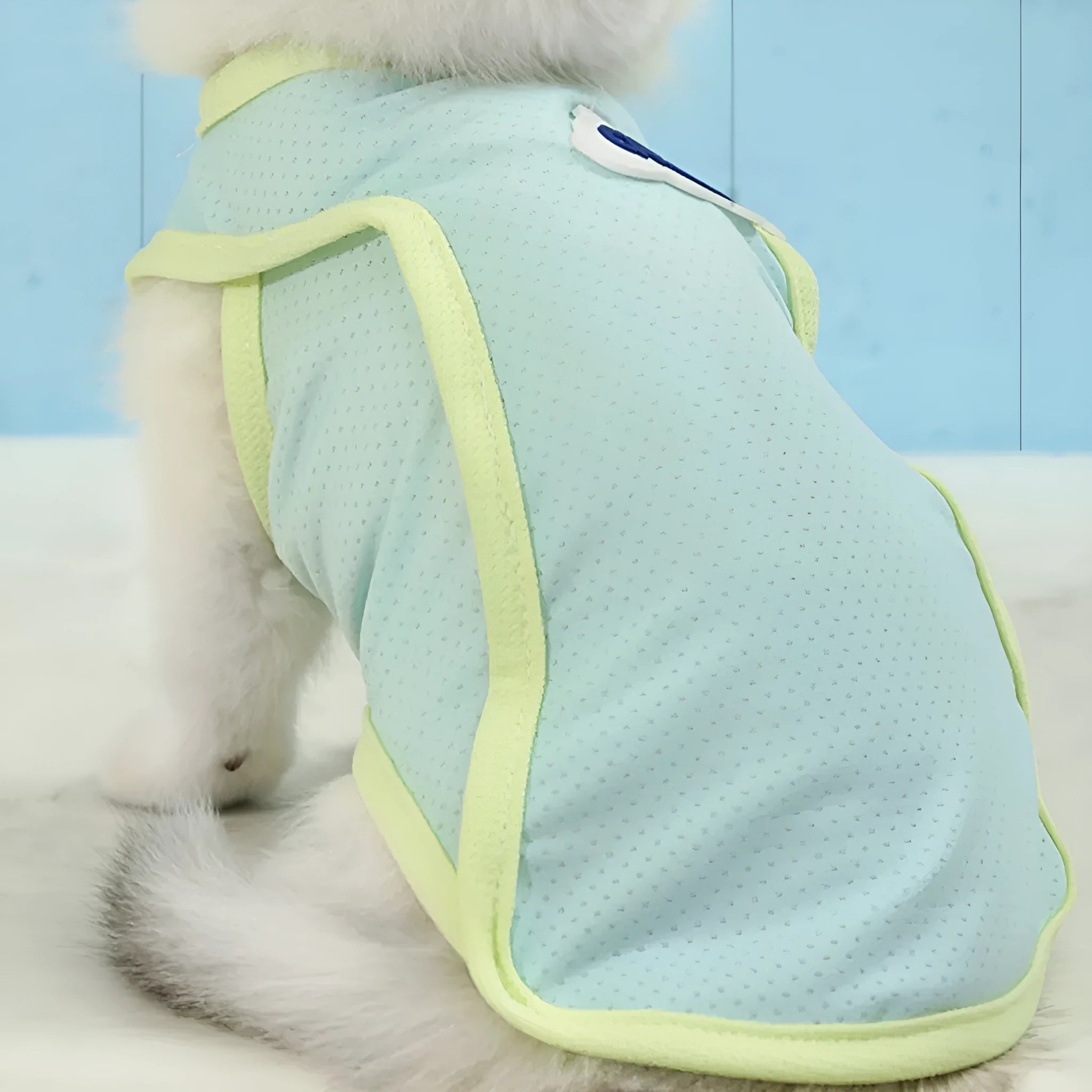 Polyester cat vest in grass green available in sizes XS to 2XL