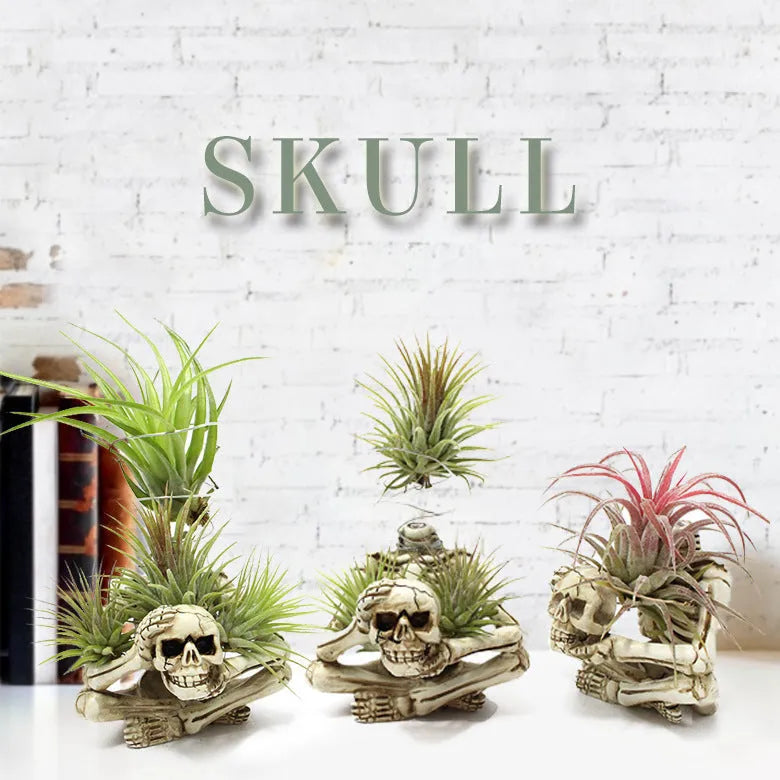 Gothic skull design resin bracket for tillandsia plants with iron stand