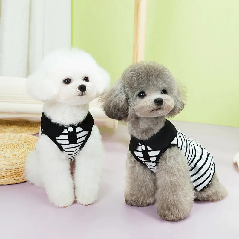 Dog wearing a striped cotton t-shirt and matching skirt from a casual summer two-piece pet clothing set.