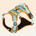 Reflective orange dog harness and leash set on a dog, showing chest and back straps and hand-holding rope.