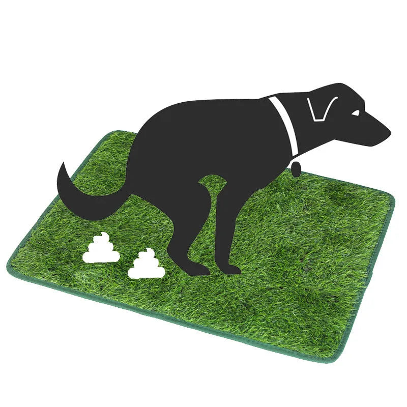 Artificial grass dog toilet training mat on floor with measurement showing 46x36cm size