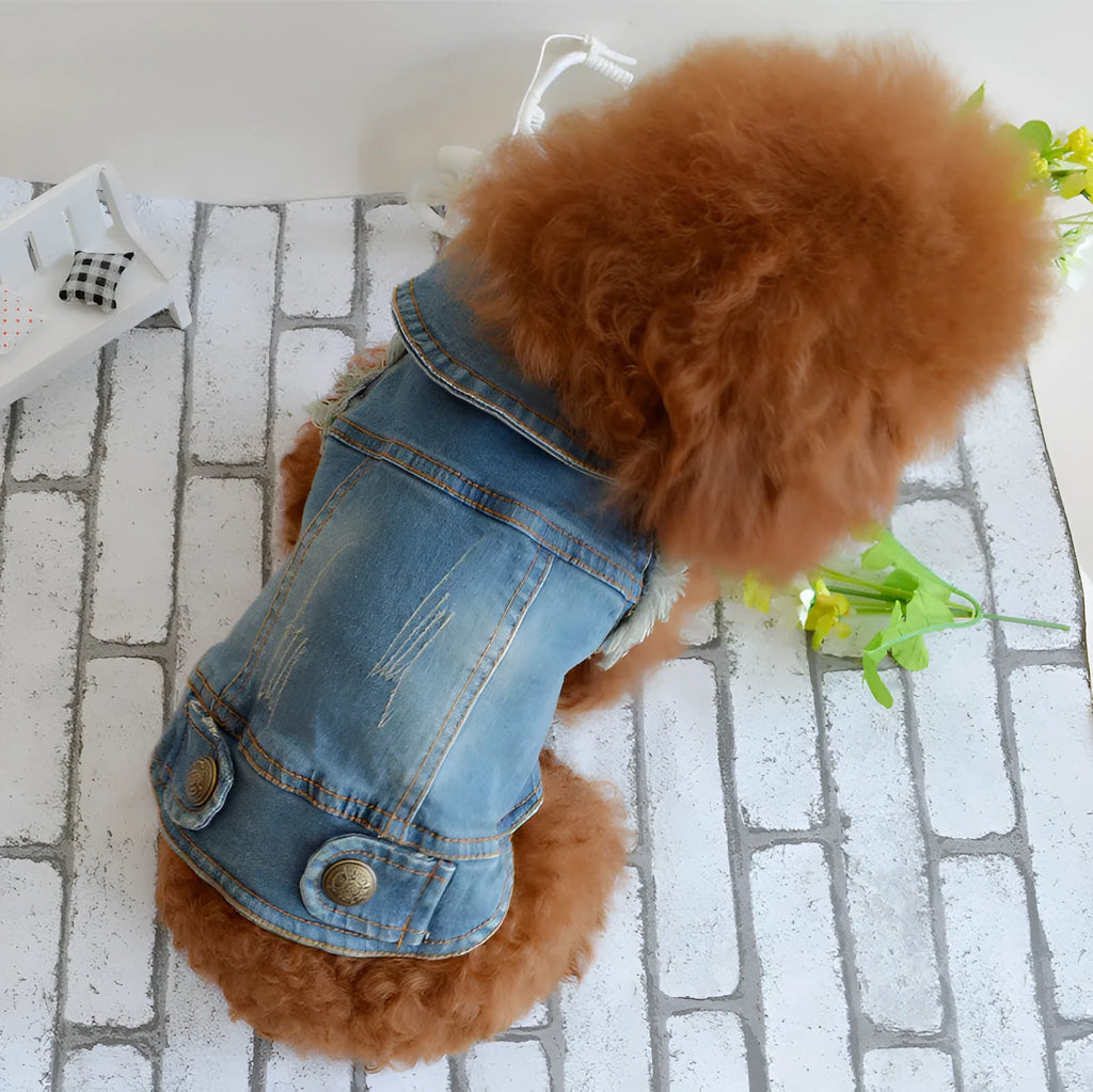 Denim dog vest with retro scratch pattern shown in dark wash colour on small breed dog