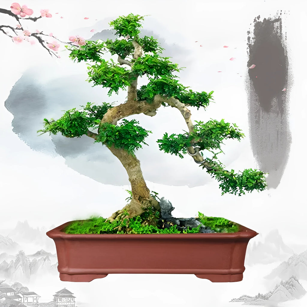 Large rectangular purple clay bonsai pot shown outdoors, highlighting its handmade texture and substantial size.