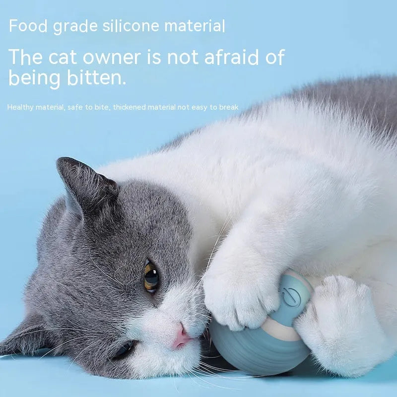 Blue rechargeable automatic moving cat toy ball with USB charging cable for indoor feline play