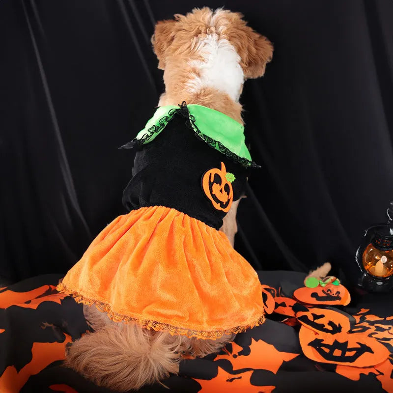 Crystal velvet pet Halloween costume showing pumpkin skirt and sweater options for small dogs and cats