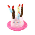 A blue or pink birthday hat for small dogs, shown with dimensions of 21cm by 15cm.