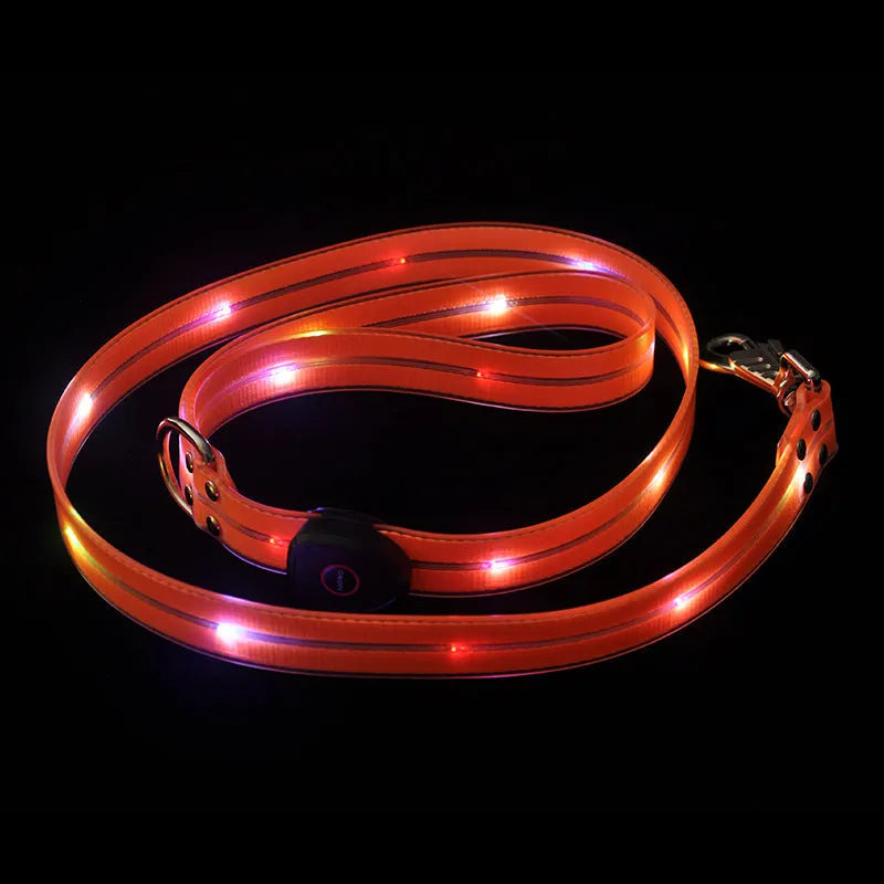 Luminous PVC dog collar leash in fluorescent green colour with hand holding loop