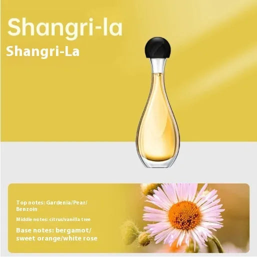 Ultrasonic aroma diffuser with mosquito repellent function in six style variations