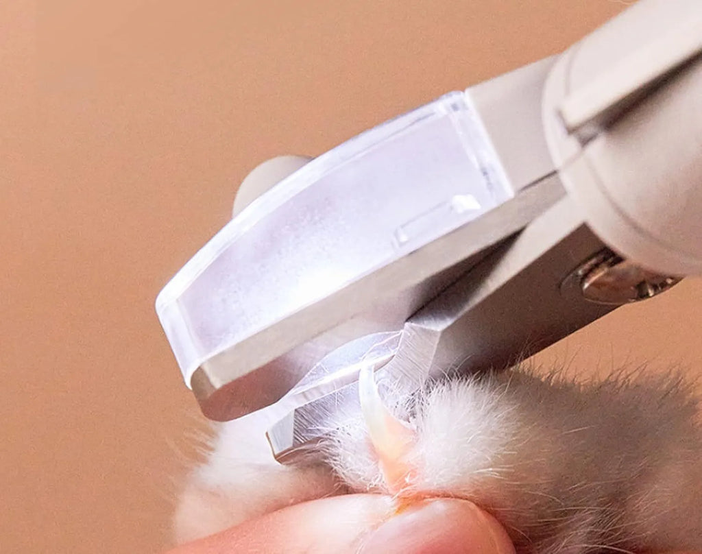 White pet nail clippers with LED light, transparent anti-splash guard, and integrated nail file on a grey background.