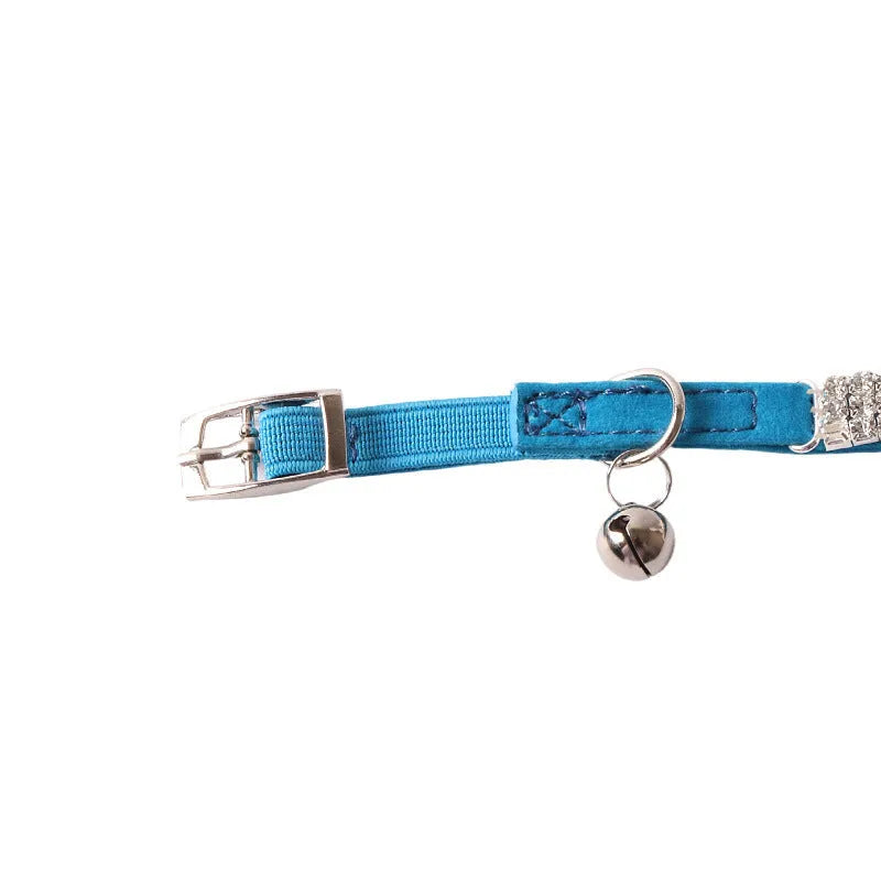Flocked fabric elastic cat collar with buckle fastener in multiple colour options