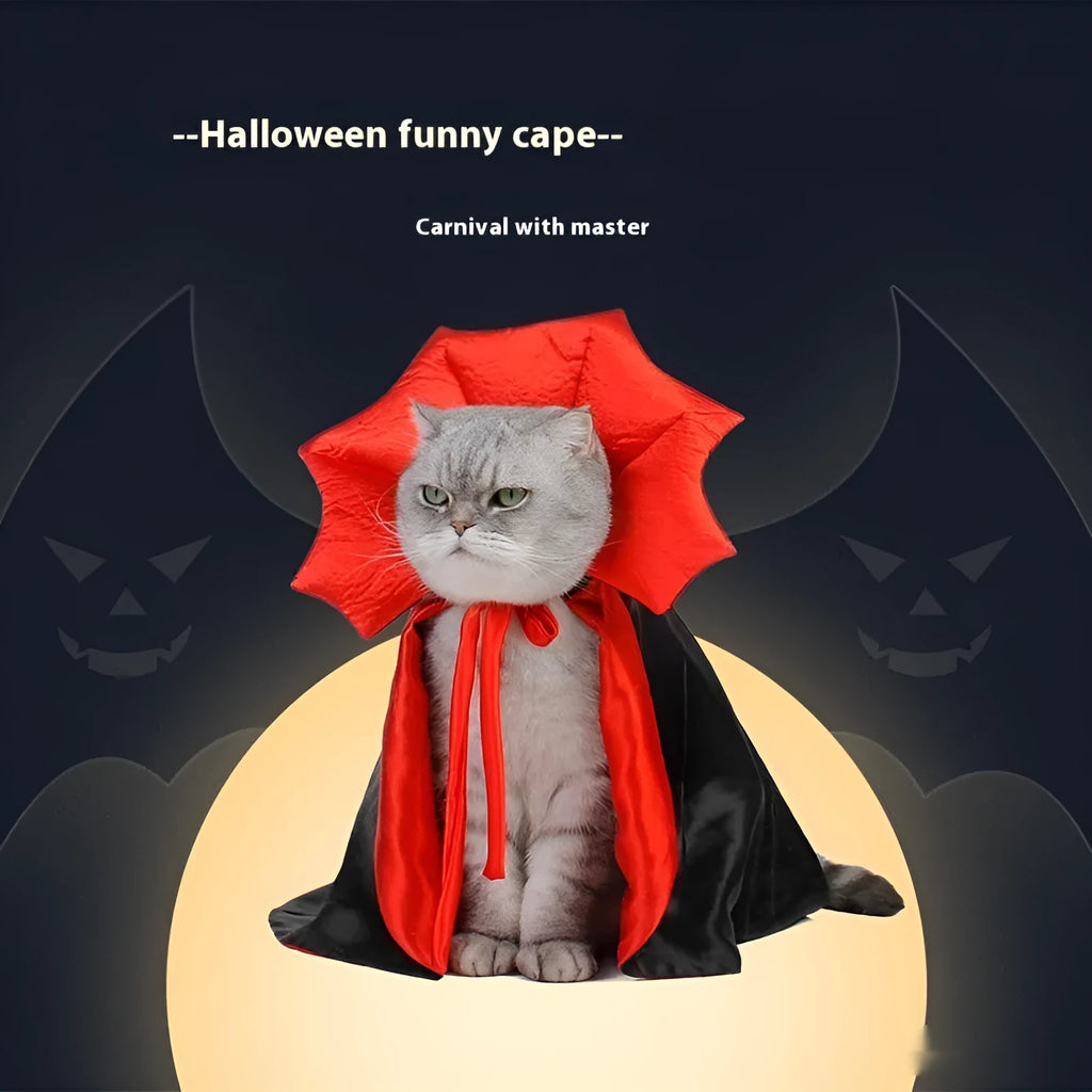 Black and red Halloween costume for cats and dogs on pet mannequin