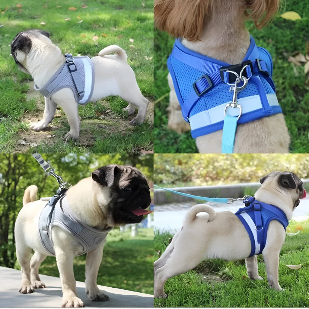 Reflective breathable polyester pet harness with 115cm leash and 1.5cm width, adjustable chest 26-55cm, grey black blue red