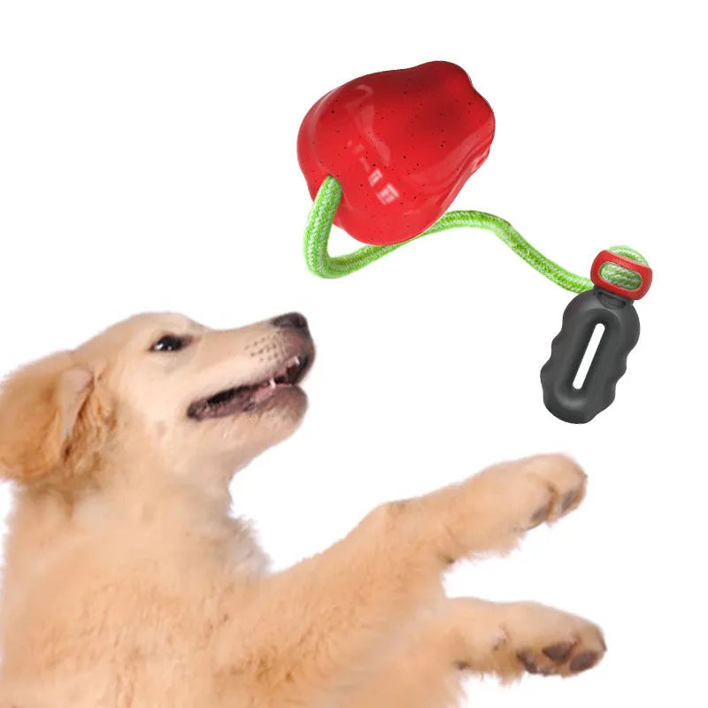 Green and red apple-shaped plastic dog toy with hollow treat-dispensing interior and squeaky sound mechanism