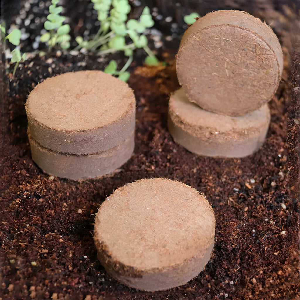 Nutrient soil blocks for planting and seedling cultivation in various sizes on a garden table.