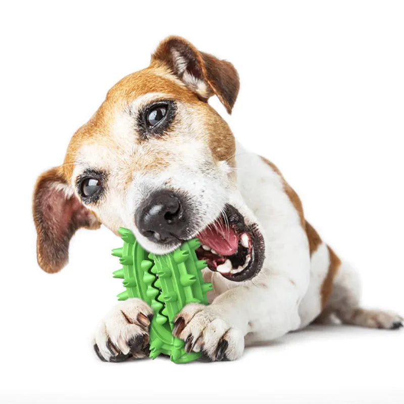 Green cactus-shaped dog chew toy with textured bumps for dental cleaning