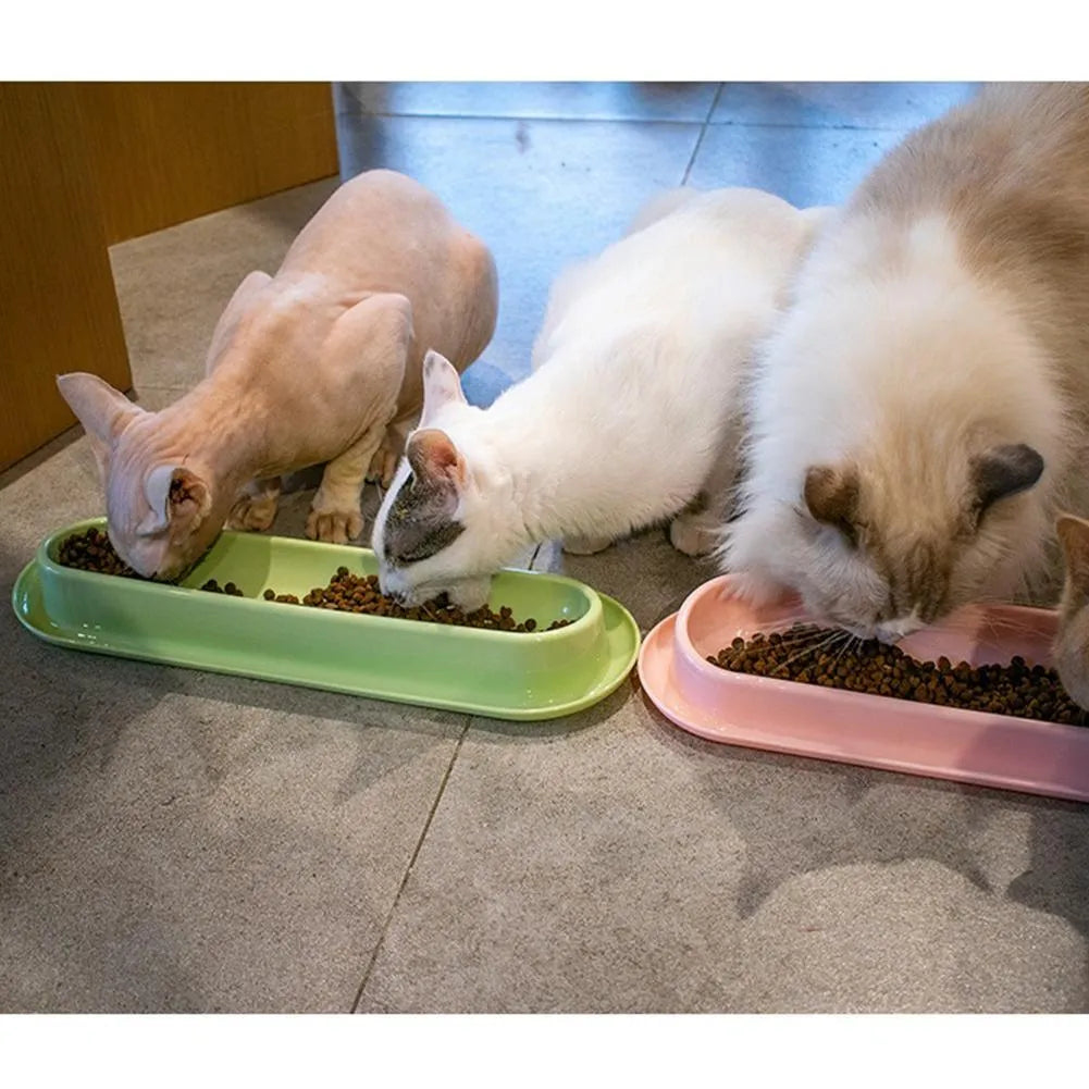 Four-compartment leakproof pet feeder bowl in pink colour for dogs and cats
