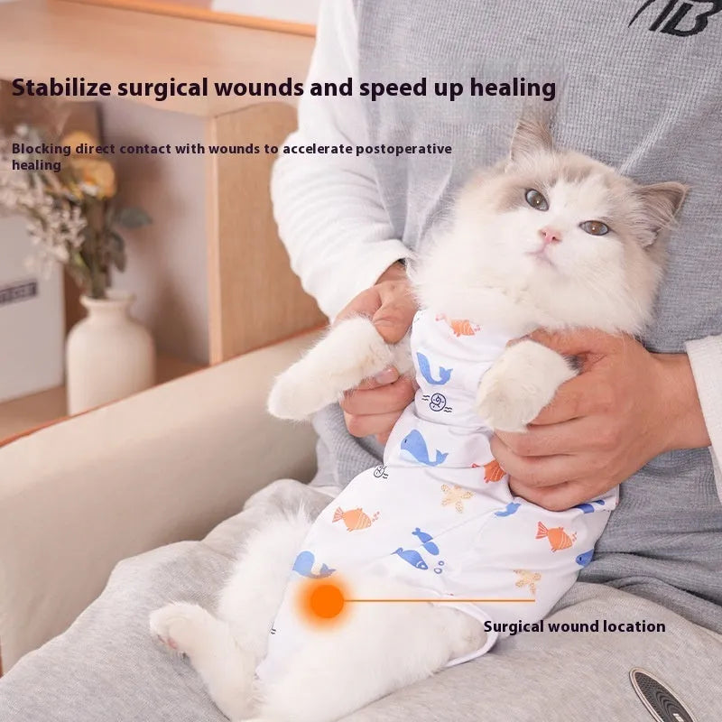 Cat wearing a printed polyester recovery suit with Velcro fastenings after sterilisation surgery.