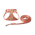 Floral pattern cloth dog harness and leash set for small to medium dogs