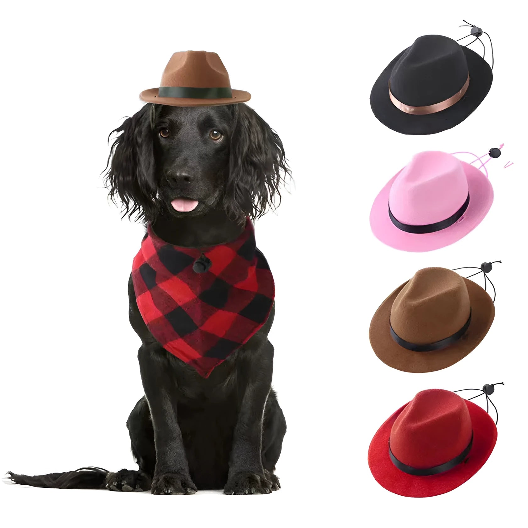 S size 155cm diameter woolen felt pet sun hat for small dogs with hairpin accessory