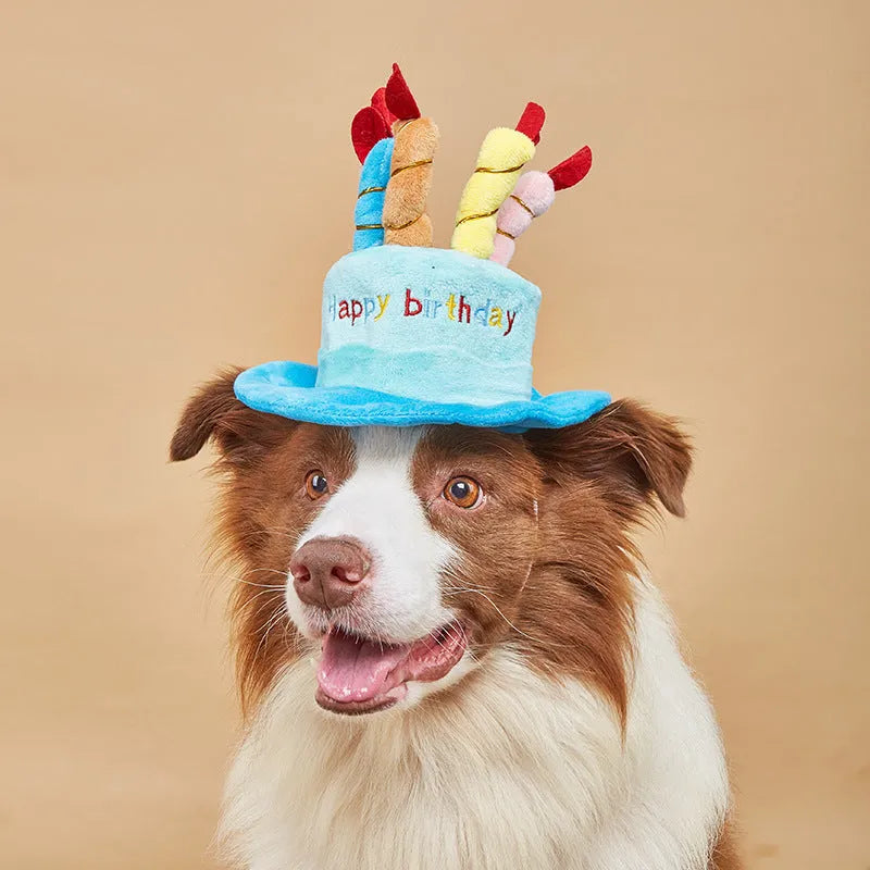 A blue or pink birthday hat for small dogs, shown with dimensions of 21cm by 15cm.