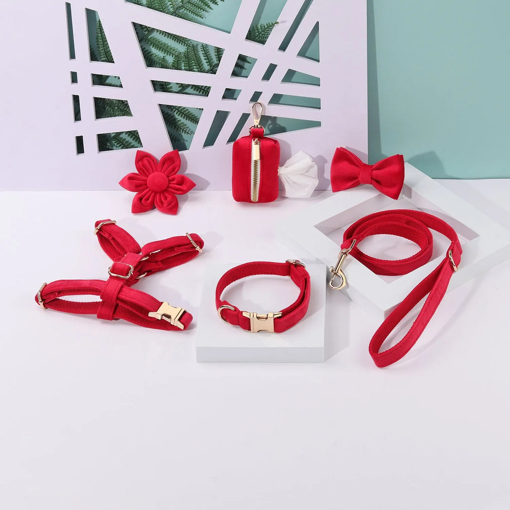 Velvet dog collar and lead set with chest strap, decorative bow tie, and flower accessory in multiple colour options