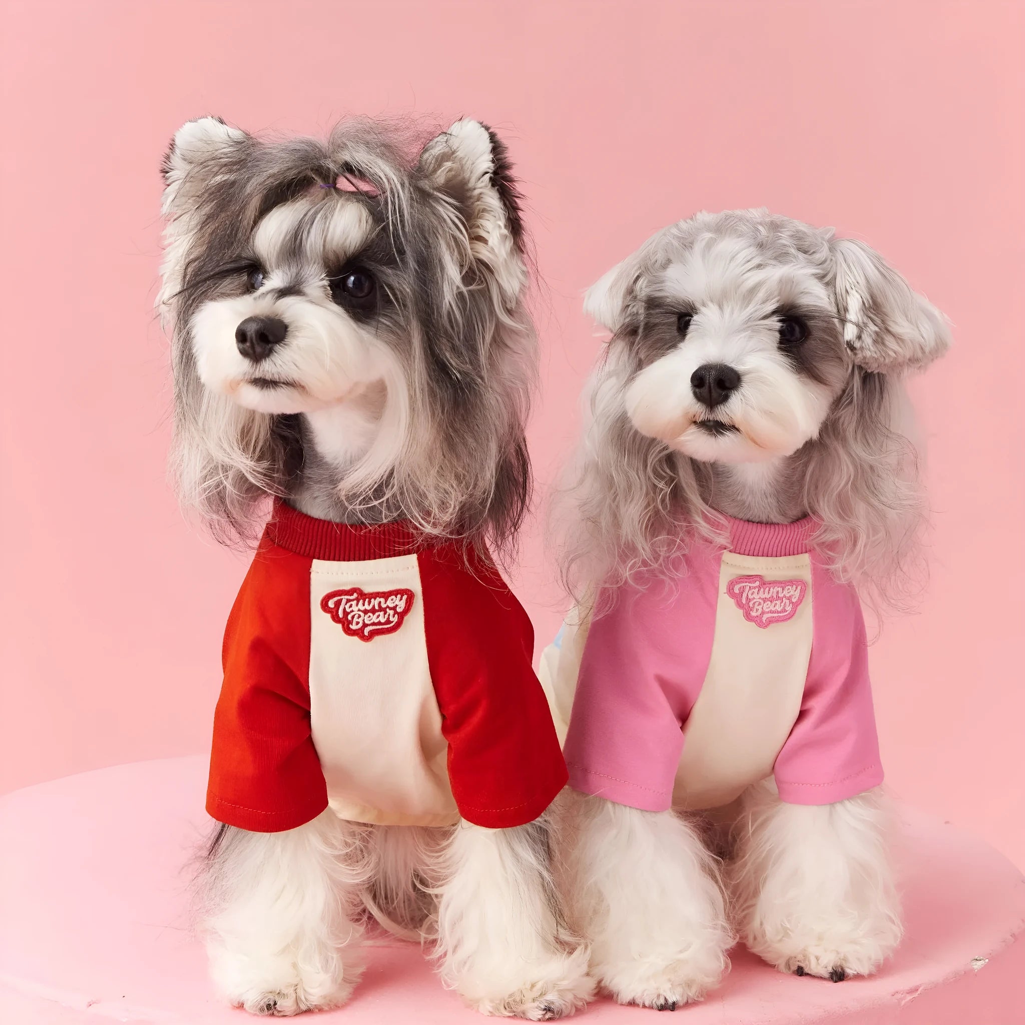 Cotton summer dog outfit with contrast embroidery in red or pink colours