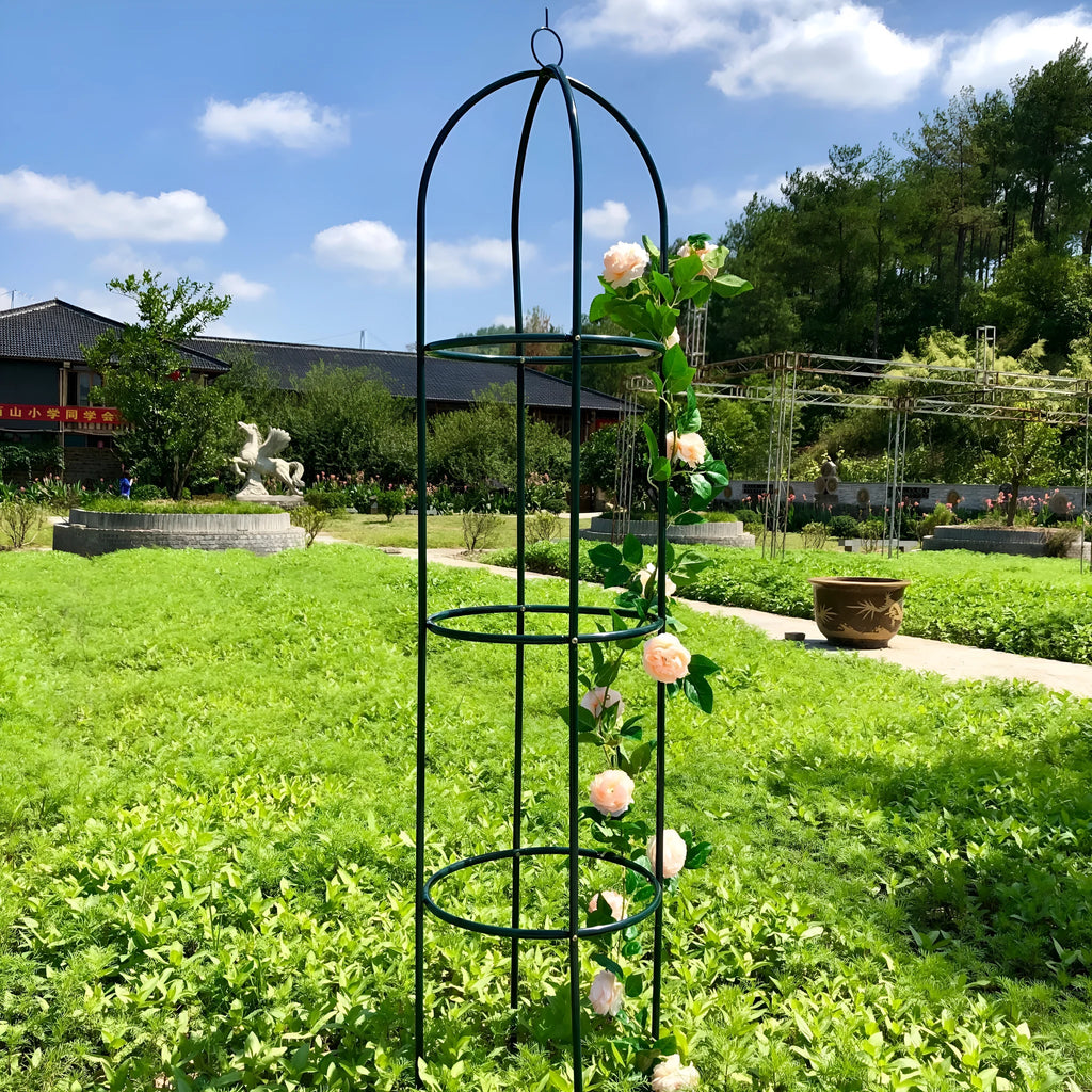 Dark green wrought iron plant climbing frame with lattice design for indoor vines