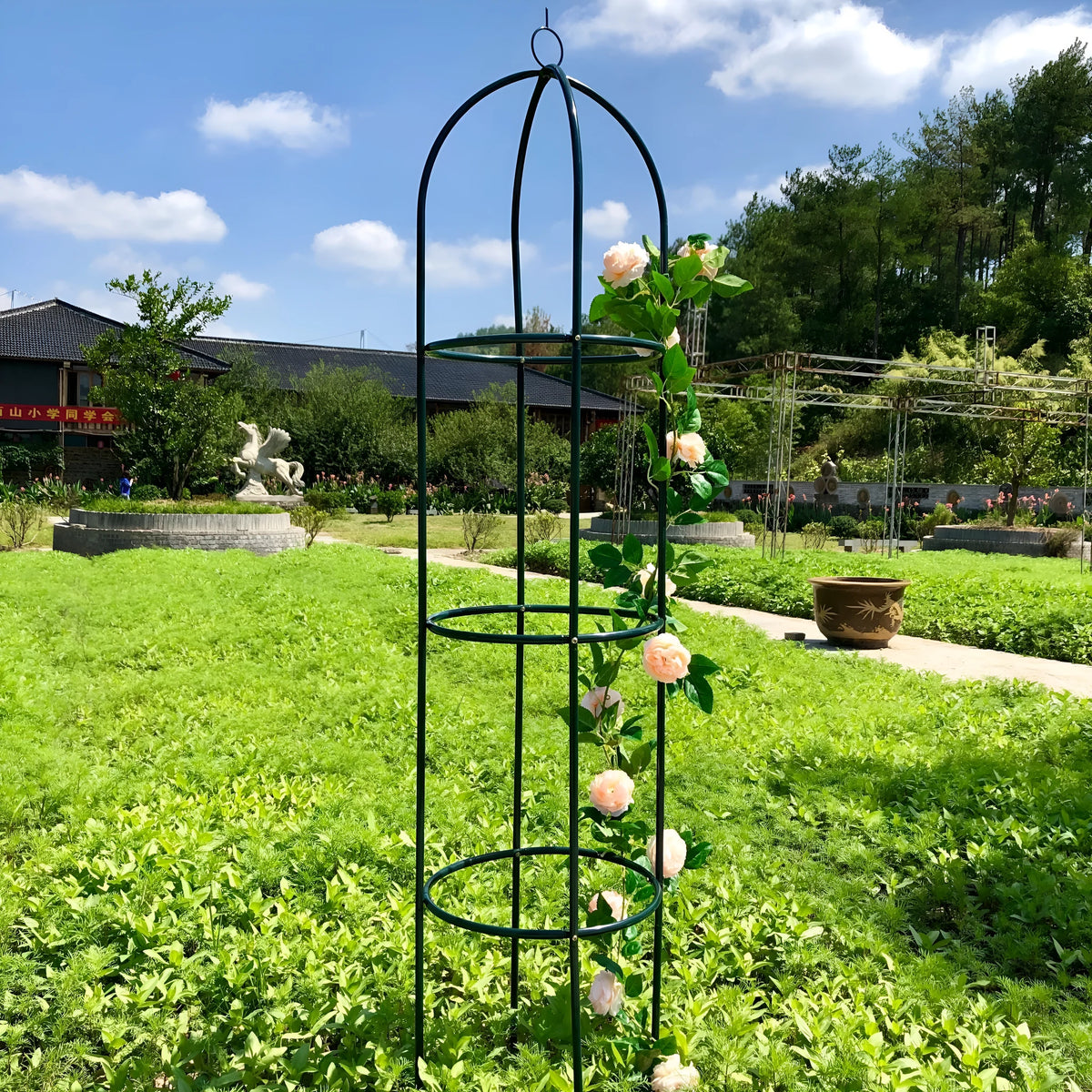 Dark green wrought iron plant climbing frame with lattice design for indoor vines