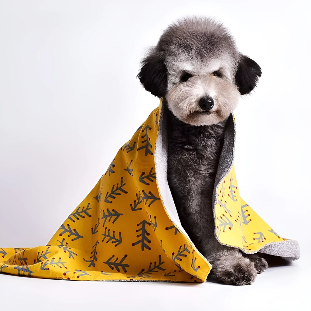 Reversible cotton velvet pet blanket with dinosaur print in multiple size options
