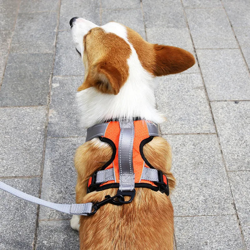 Adjustable dog harness with optional hand-held rope in various colour options for walking control