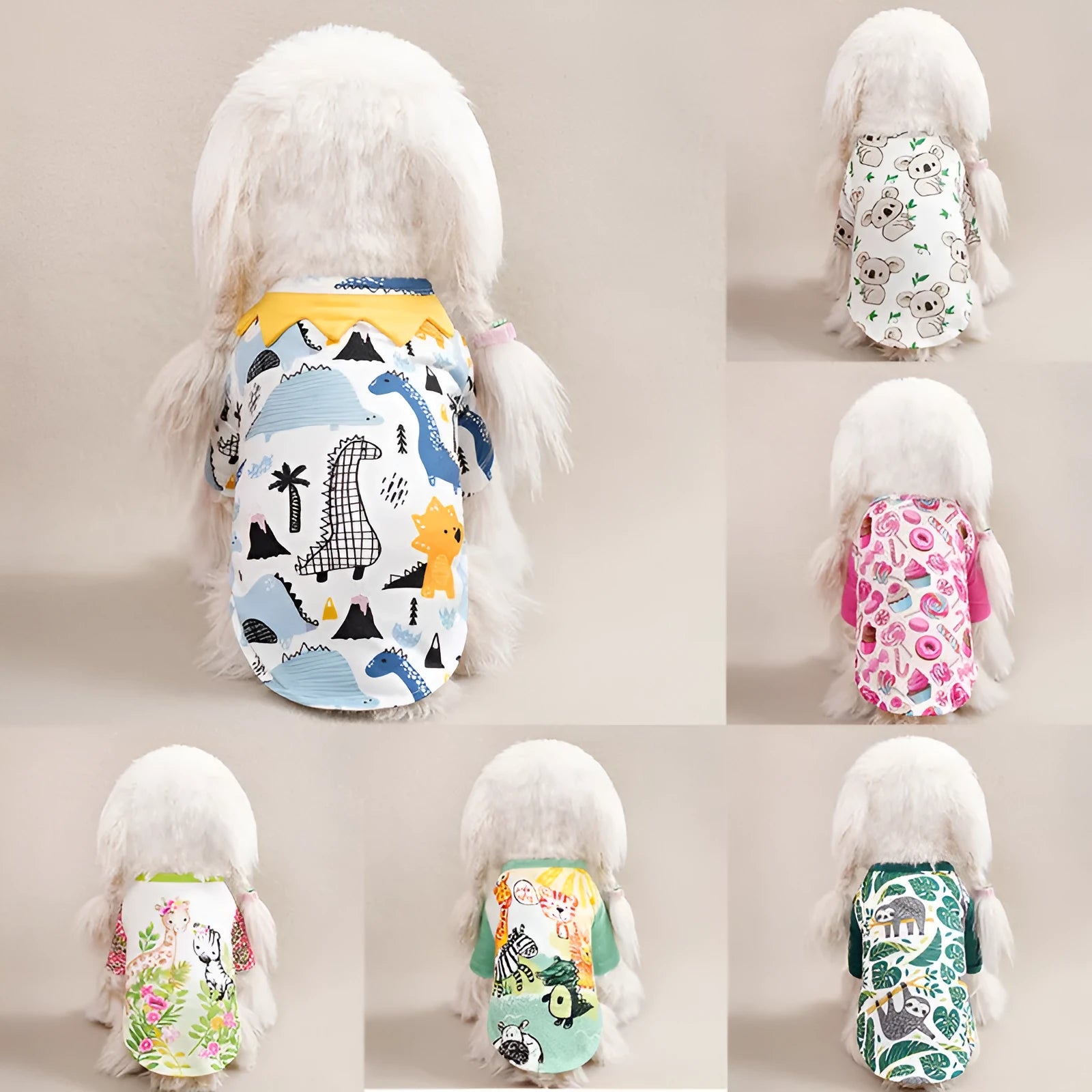 A small dog wearing a colourful printed polyester t-shirt, showing the casual spring and autumn pet clothing.