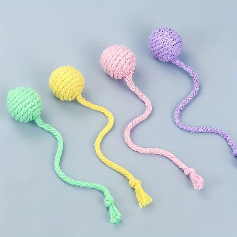 Colourful cat toy ball with attached rope and internal bell for interactive feline play