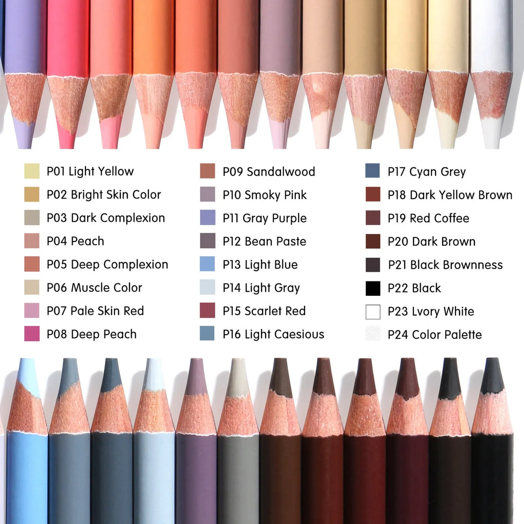 24 skin tone coloured pencils in iron tin case with round brush pot for portrait artwork