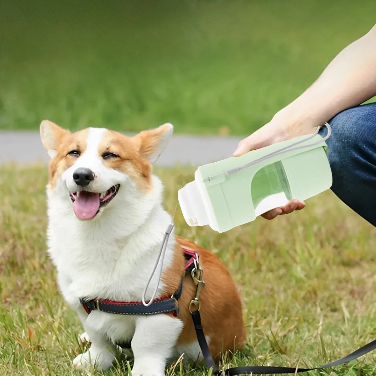 Green portable dog water bottle and feeder with lanyard attached