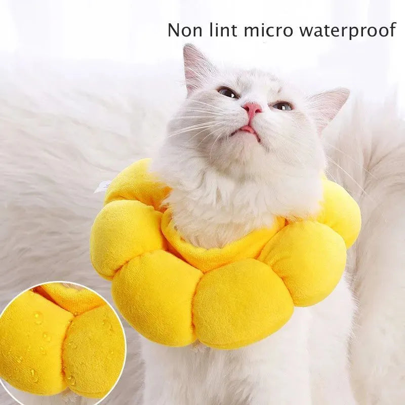 Cotton pet recovery collar in soft fabric with adjustable neck band and inner ring, sizes XS to L