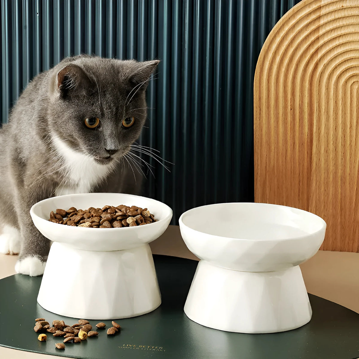 Ceramic tall cat bowl in slow food plate or diamond bowl shape, raised feeding dish for cats