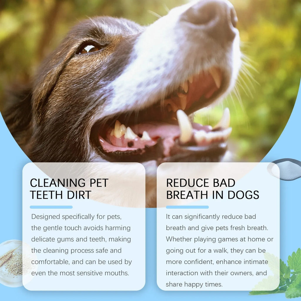 White disposable pet toothbrush pen with 3ml toothpaste for dog and cat dental cleaning