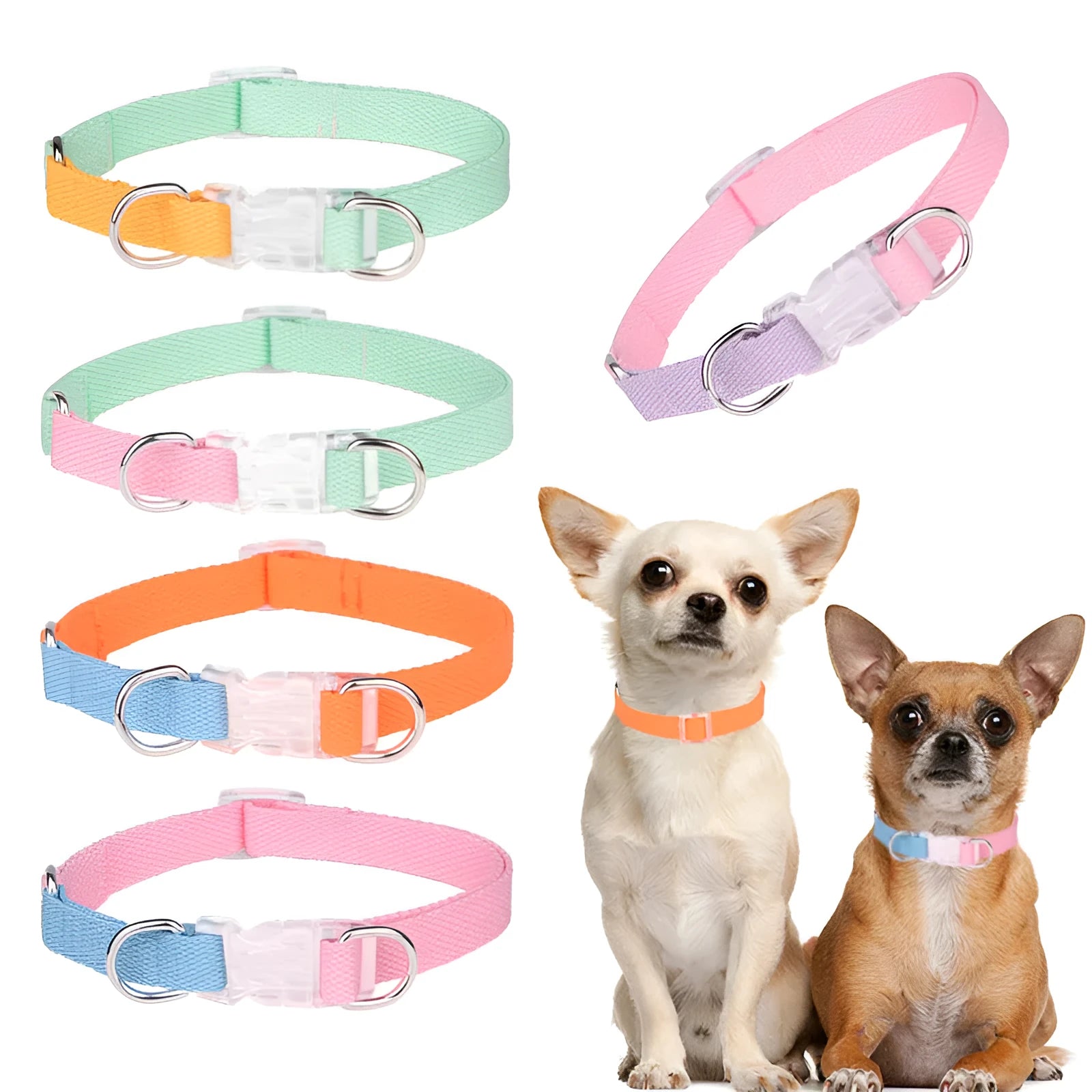 Polyester ribbon dog collar set with matching lead and chest strap in multicolour combination