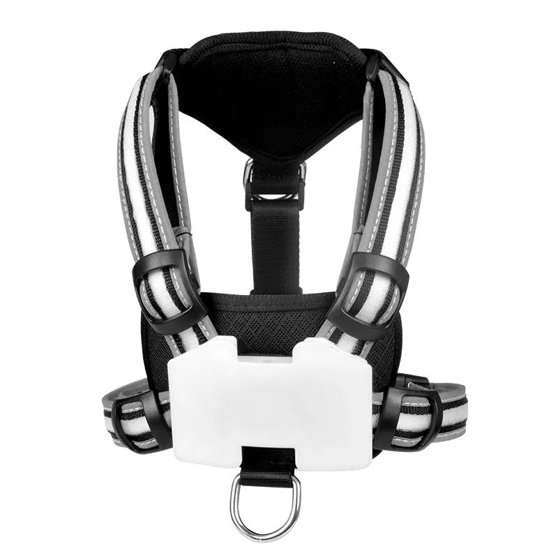 Luminous dog lead with seven-colour LED illumination and hand-held design for night-time walking