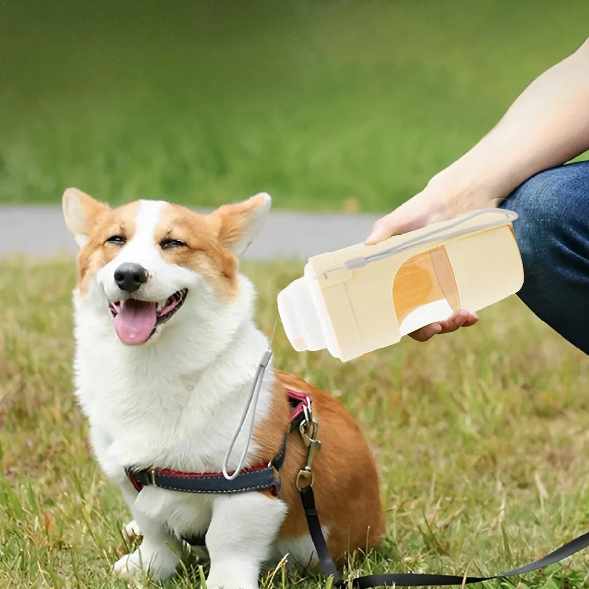 Green portable dog water bottle and feeder with lanyard attached