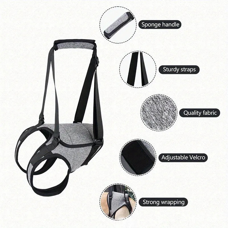 Grey neoprene dog rear leg recovery support belt with adjustable waist and thigh straps.
